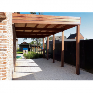 Carports Annexés Modern