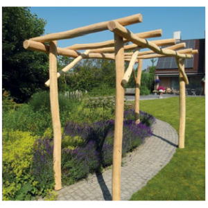 Pergola en Robinier 3m ou 4m