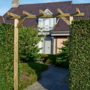 Pergola Robuste