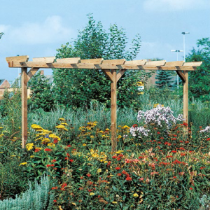 Pergola Standard