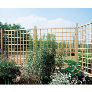 Treillage pour plantes Mailles Carrées