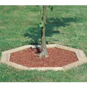 Bordure pour arbre